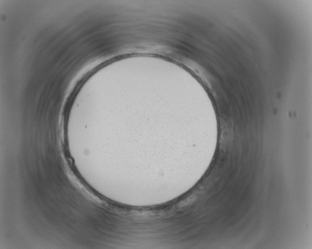 X0000082681080200702232132