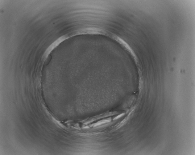 X0000082681081200702232132