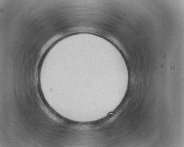 X0000082681082200702232132