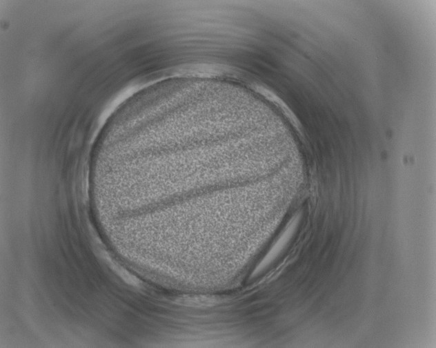 X0000082681083200702232132