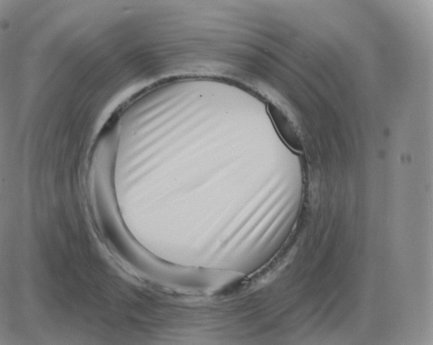 X0000082681085200702232132