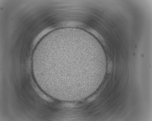 X0000082681086200702232132