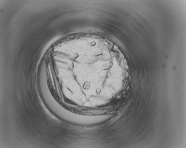 X0000082681087200702232132