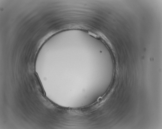 X0000082681089200702232132