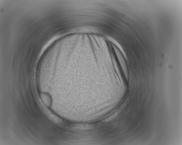 X0000082681091200702232132