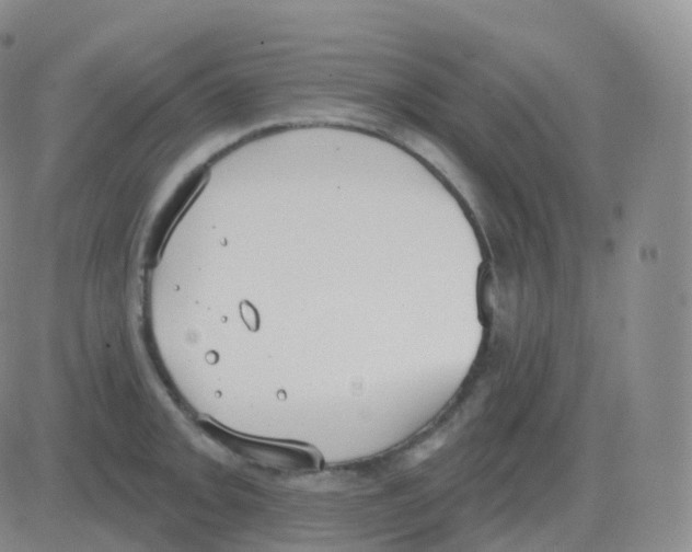 X0000082681093200702232132