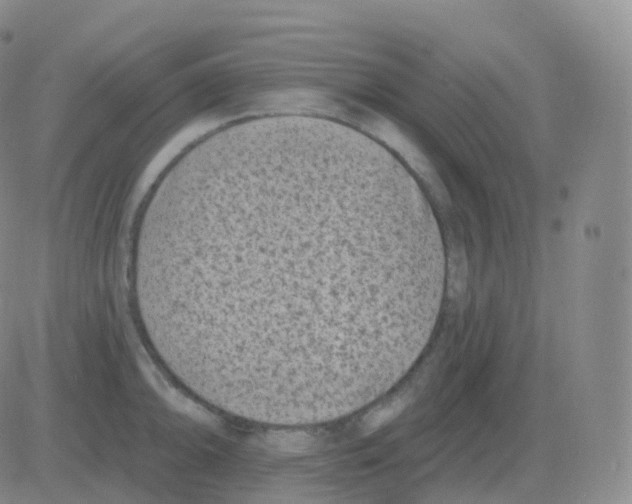 X0000082681094200702232132