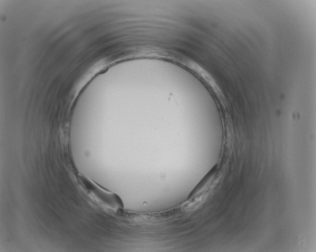 X0000082681097200702232132