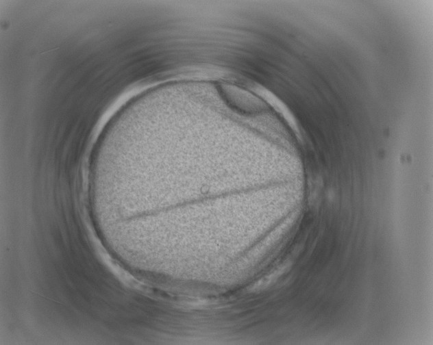 X0000082681099200702232132