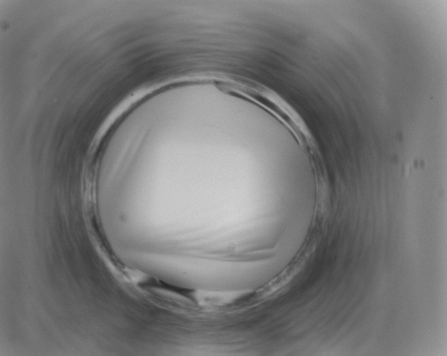 X0000082681101200702232131