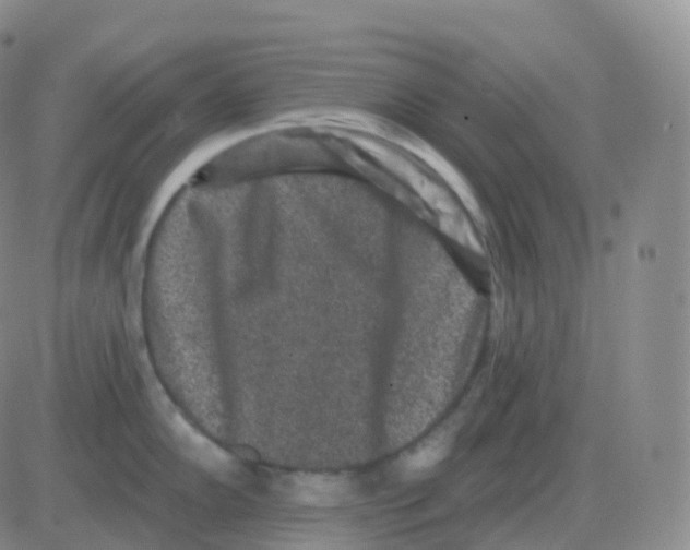 X0000082681102200702232131