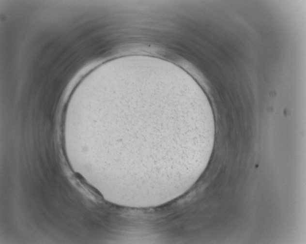 X0000082681104200702232131