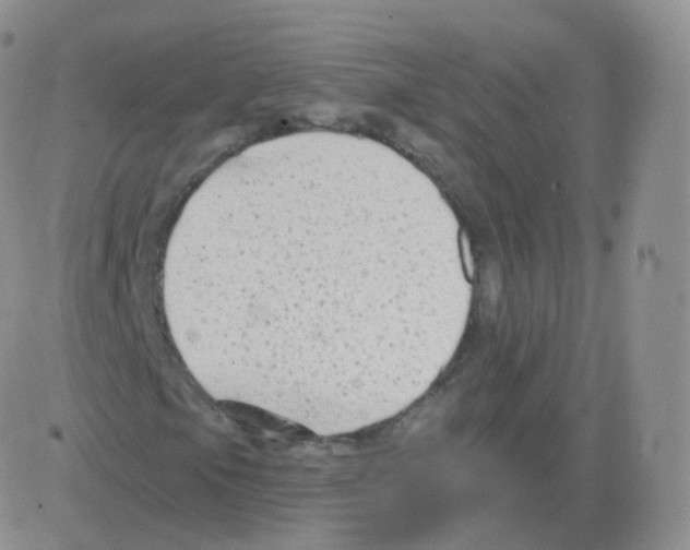 X0000082681105200702232131