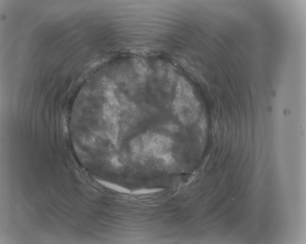 X0000082681106200702232131