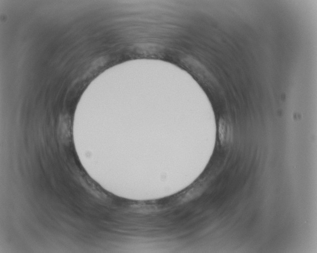 X0000082681107200702232131