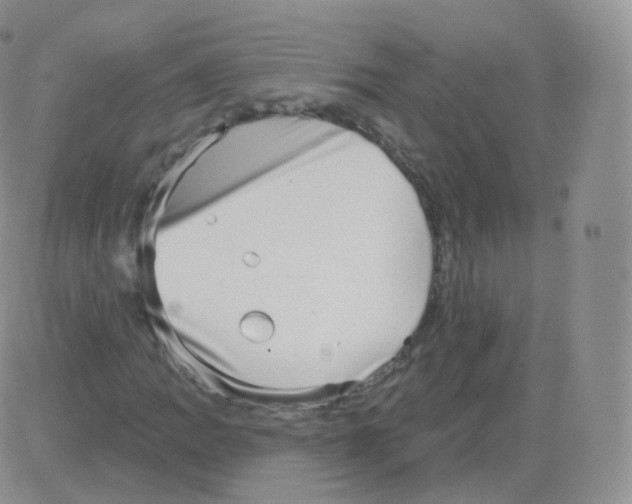 X0000082681109200702232131