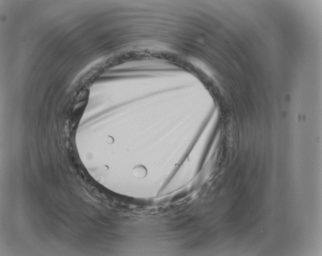 X0000082681112200702232131