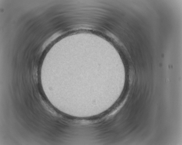 X0000082681113200702232131