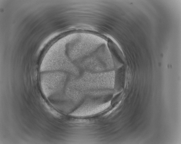 X0000082681115200702232131