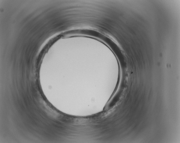 X0000082681116200702232131