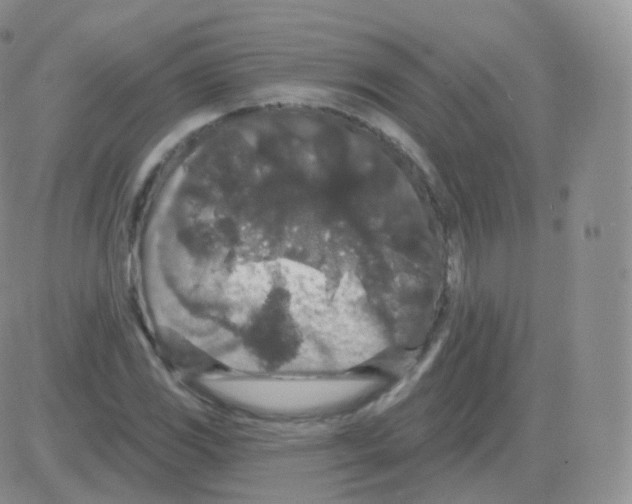 X0000082681117200702232131