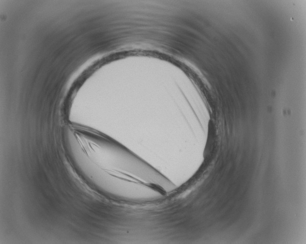 X0000082681118200702232131