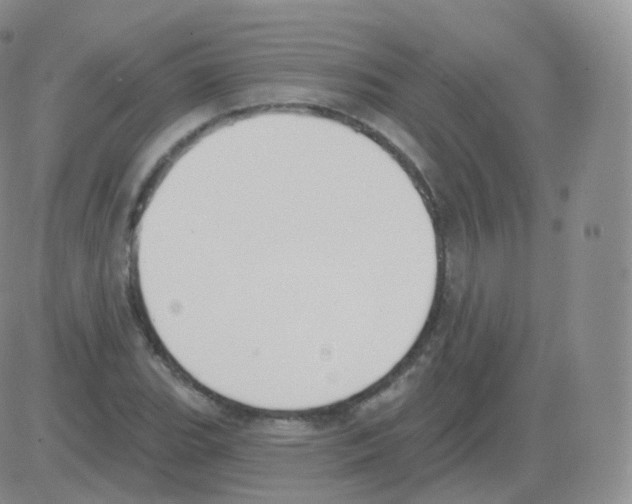 X0000082681119200702232131