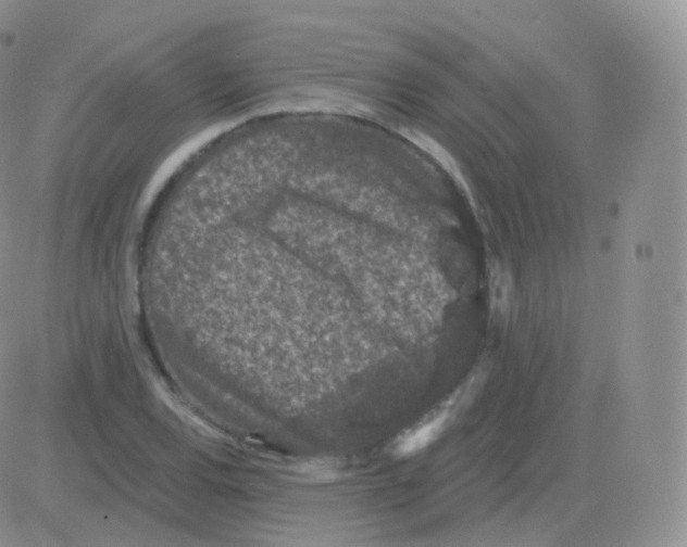 X0000082681120200702232131