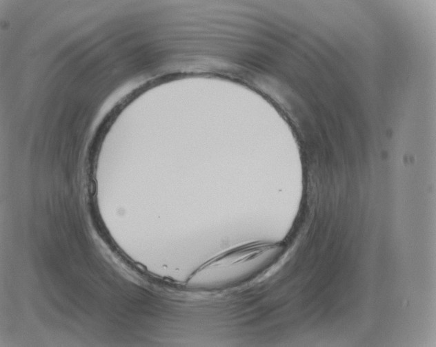 X0000082681122200702232131