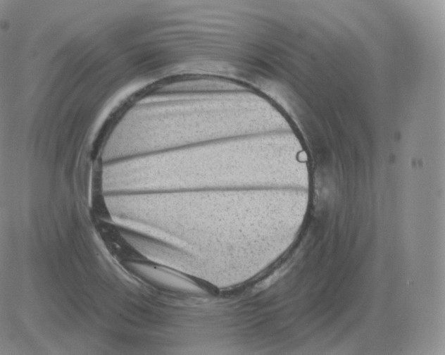 X0000082681123200702232131