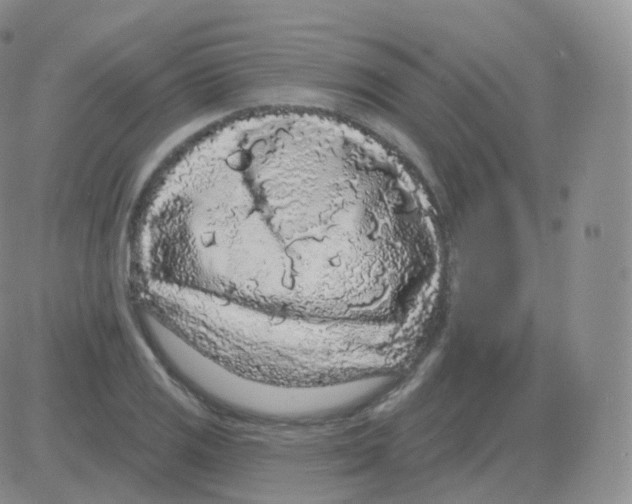 X0000082681125200702232131