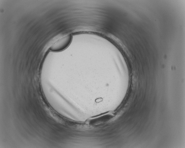 X0000082681129200702232131