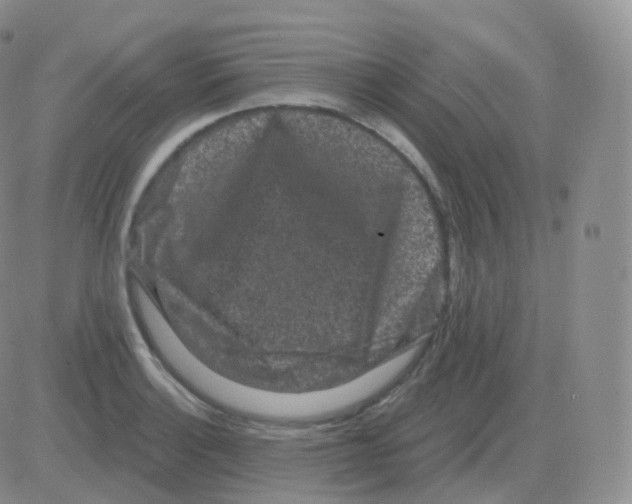 X0000082681132200702232131