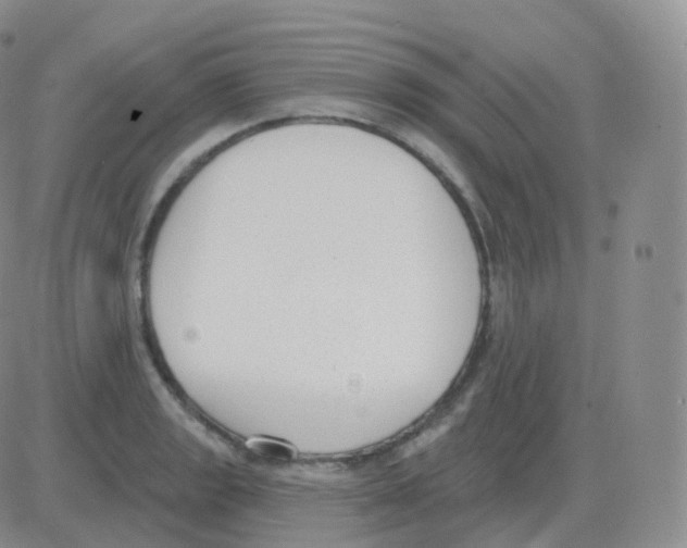 X0000082681133200702232131