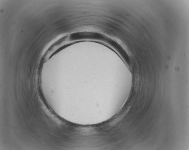 X0000082681134200702232131