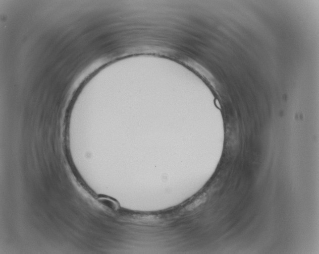 X0000082681135200702232131