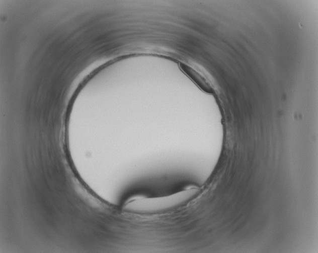 X0000082681136200702232131