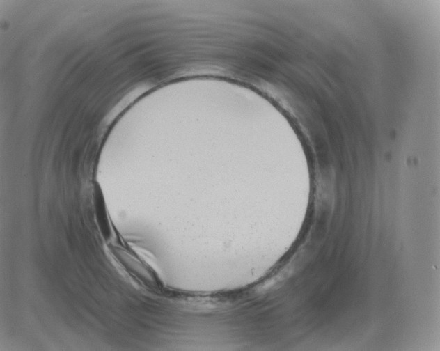 X0000082681137200702232131