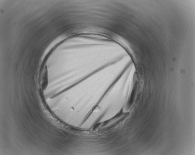 X0000082681138200702232131