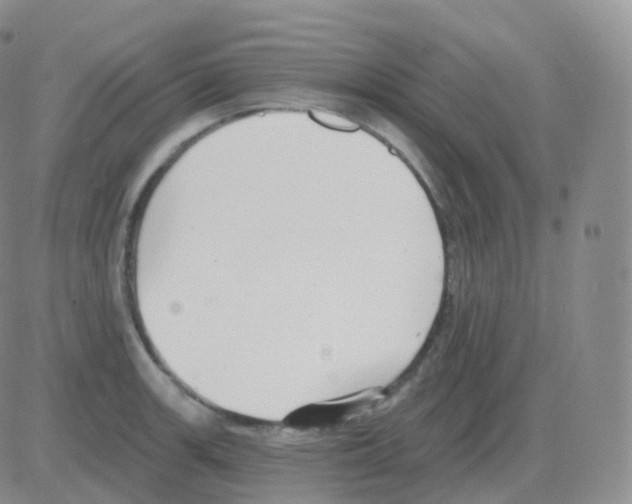 X0000082681139200702232131