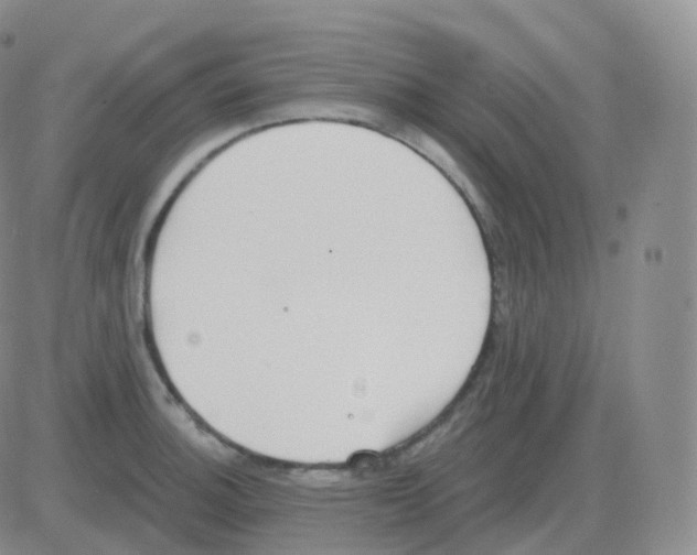 X0000082681140200702232131