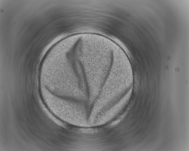 X0000082681142200702232131