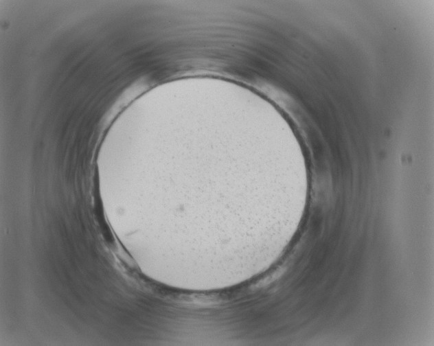 X0000082681145200702232131