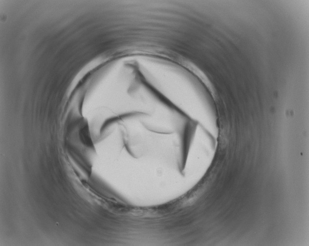 X0000082681146200702232131