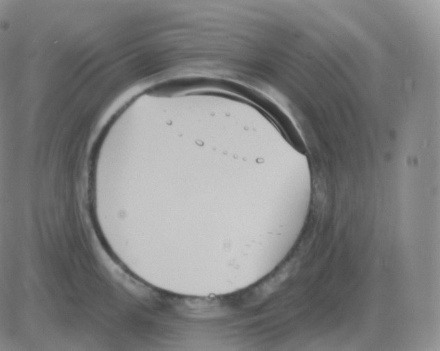 X0000082681147200702232131