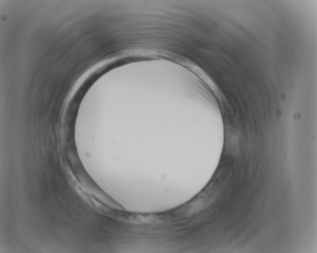 X0000082681148200702232131