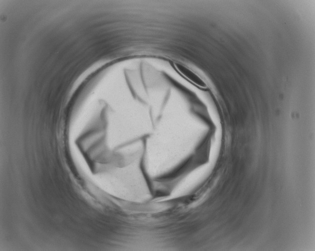 X0000082681149200702232131