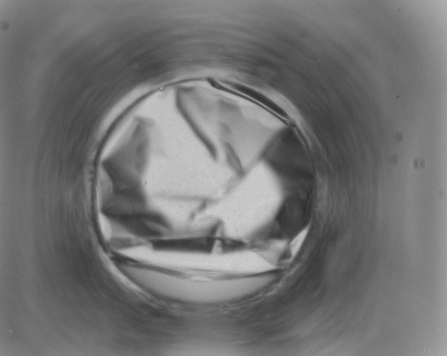 X0000082681151200702232131