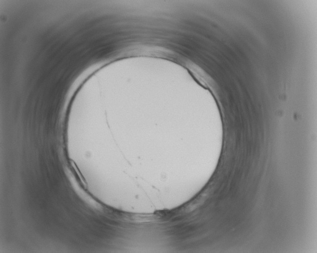 X0000082681152200702232131