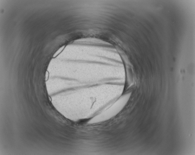 X0000082681153200702232131